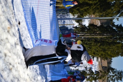 IMS i Gimnazjada w narciarstwie biegowym 2014_157